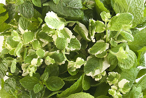 Farm-fresh herbs: the ultimate difference maker in flavor | The
